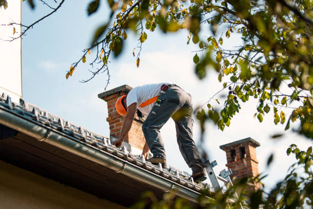 Professional Roofing Contractor in Perry, GA