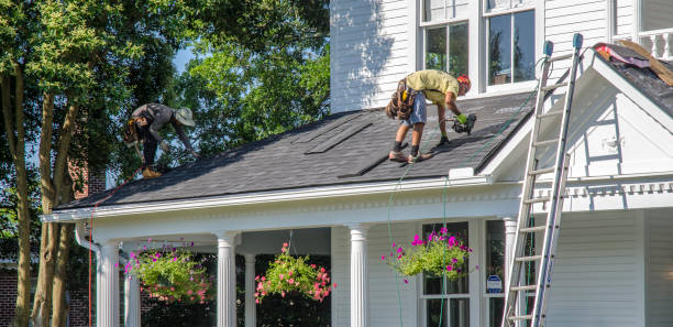 Best Shingle Roofing Installation  in Perry, GA