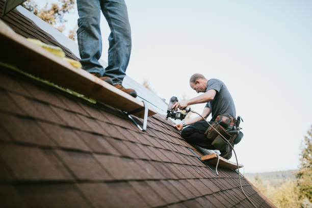 Best Commercial Roof Installation  in Perry, GA