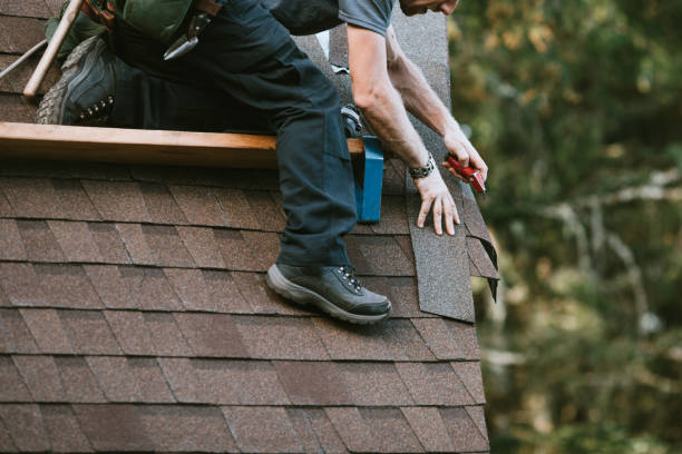 Professional Roofing Contractor in Perry, GA
